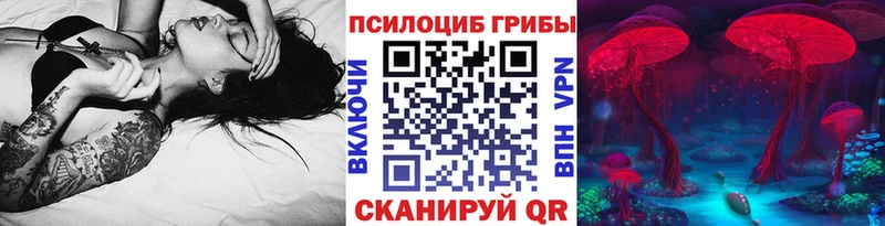 kraken как зайти  Ижевск  Псилоцибиновые грибы Cubensis  купить наркоту 