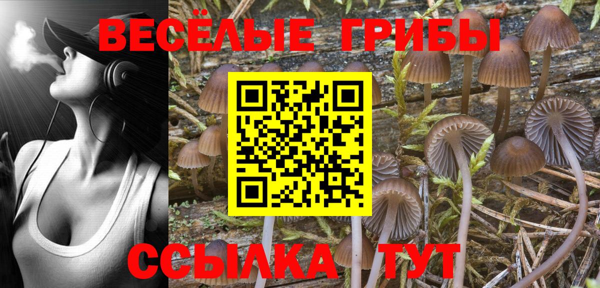Ижевск  Галлюциногенные грибы Psilocybe  Вход с VPN 